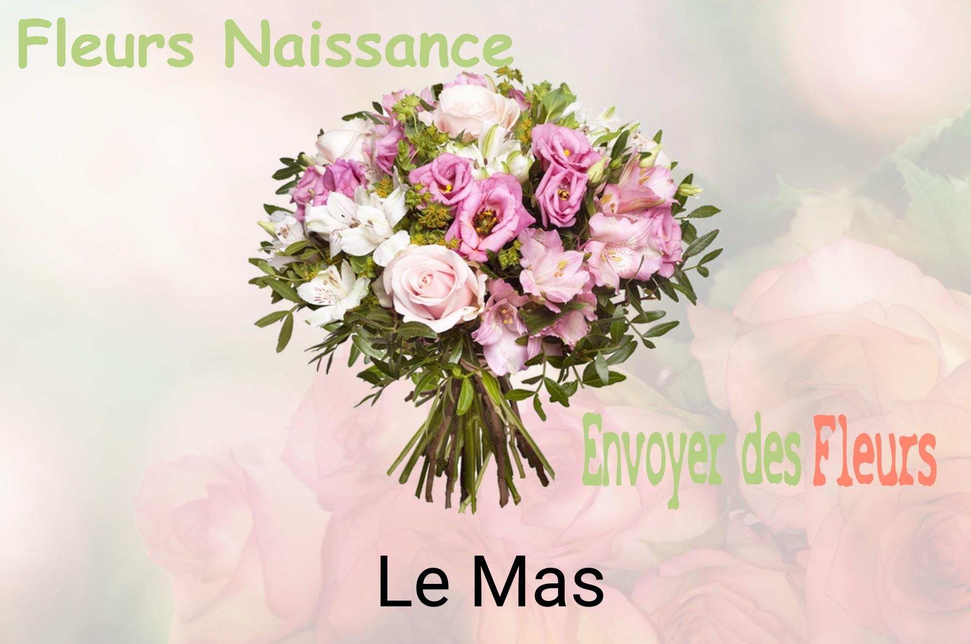 Bouquet de fleurs de naissance livré à Le Mas