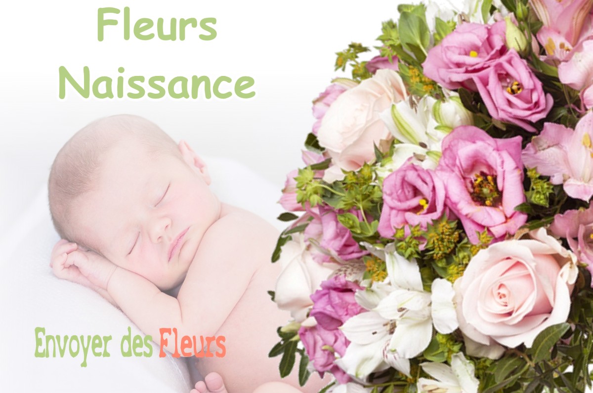 lIVRAISON FLEURS NAISSANCE à LE-MAS